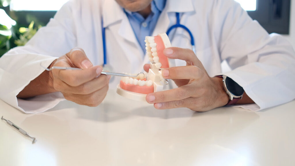 Dentist explaining dental health using a tooth model, demonstrating oral hygiene and preventative care during a consultation to patients in a modern dental clinic