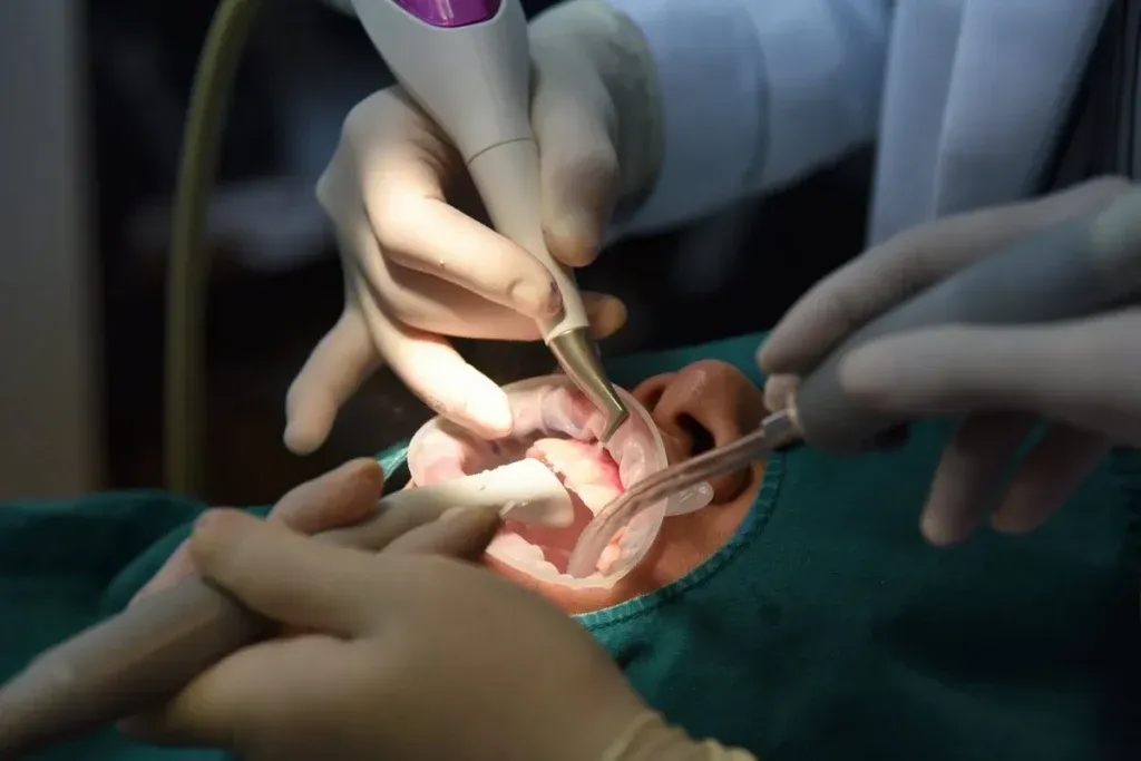 Downloaded Dental care check up, Dentist examining and doing teeth treatment in dental clinic, Yearly visit for teeth cleaning and scaling to prevent gum disease problems, Healthy oral hygienic.